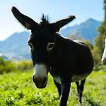 Montebello Bed and breakfast Lecco